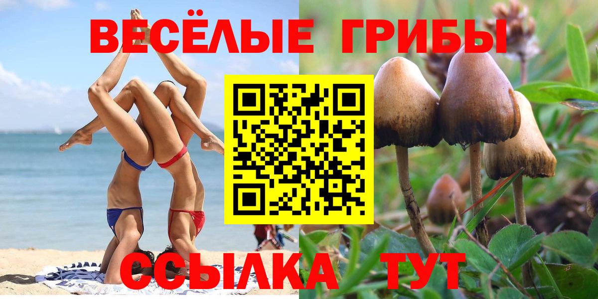 Галлюциногенные грибы GOLDEN TEACHER Изобильный