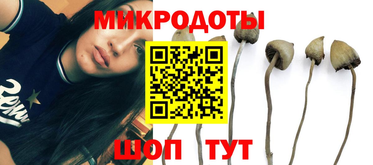 Галлюциногенные грибы мицелий  Вход с VPN  Изобильный 